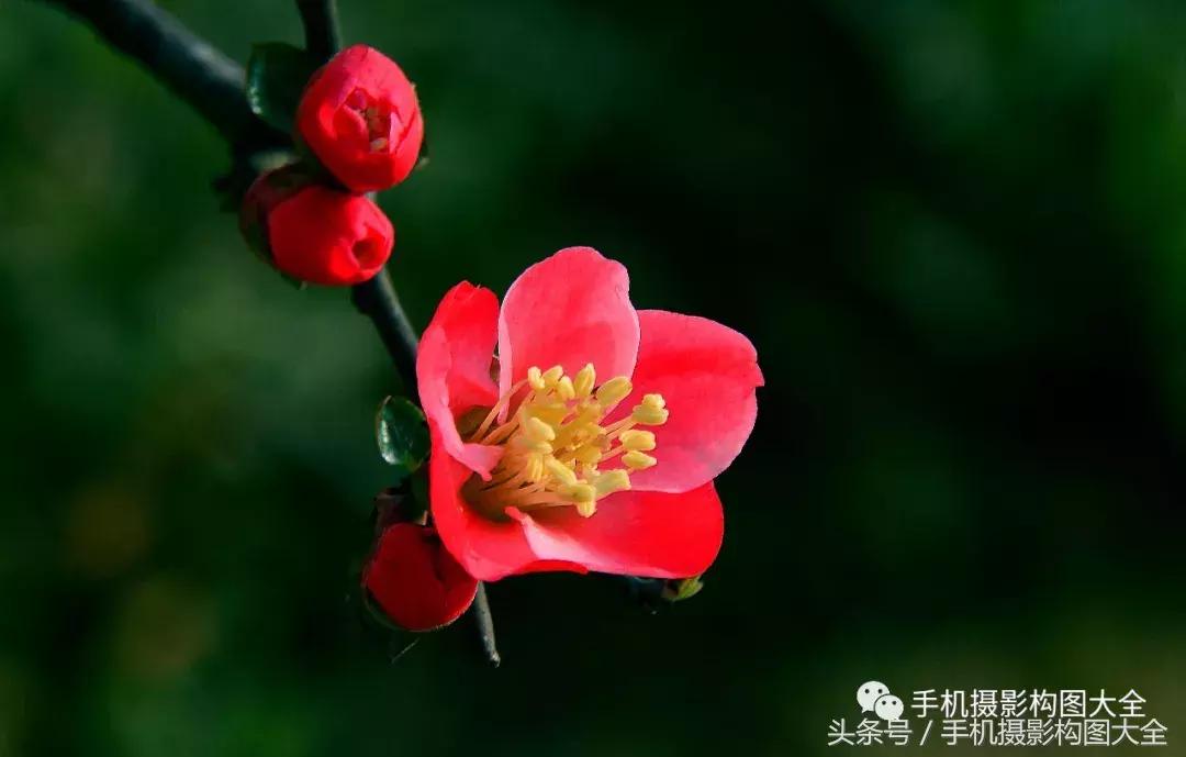 摄影入门：10种独特的人像摄影构图技巧！（菜鸟必读）