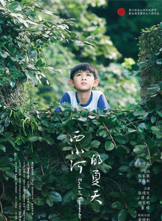 电影西小河的夏天剧情介绍,西小河的夏天电影讲述
