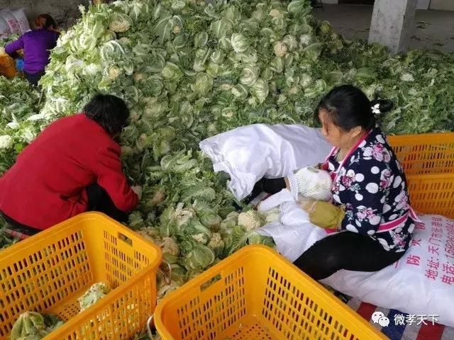 为什么孝感的特产是麻糖米酒,孝感除了麻糖米酒还有哪些