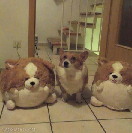 涂磊毁三观的毒鸡汤原视频,那些震碎你三观的毒鸡汤