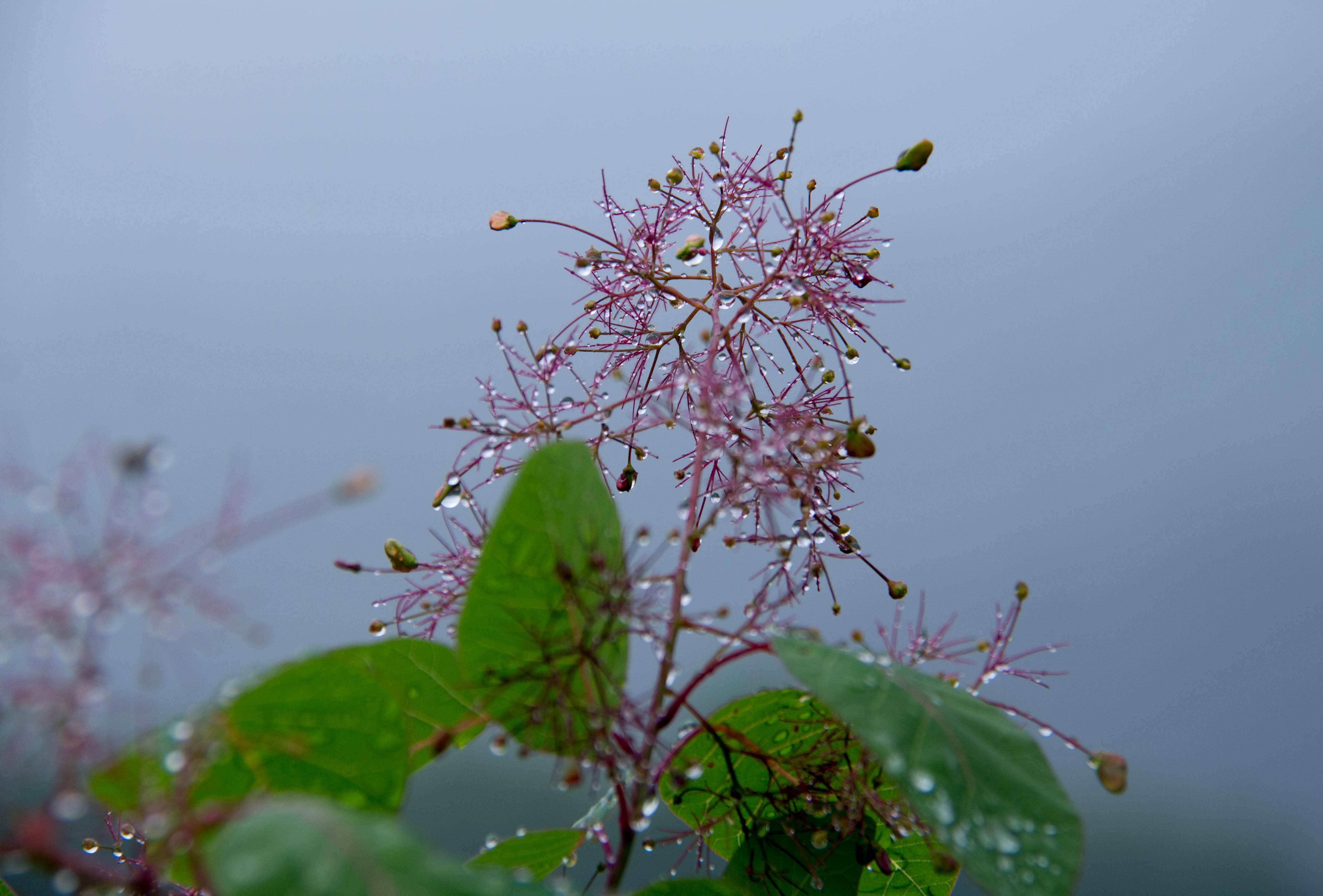 石牛寨悬崖飞拉达,南漳春秋寨滑索多少钱