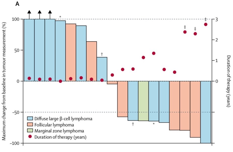ezh2抑制剂是什么药,ezh2酶抑制剂的种类