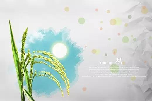 婴儿贫血吃什么,孕妈贫血吃什么不伤胃补血