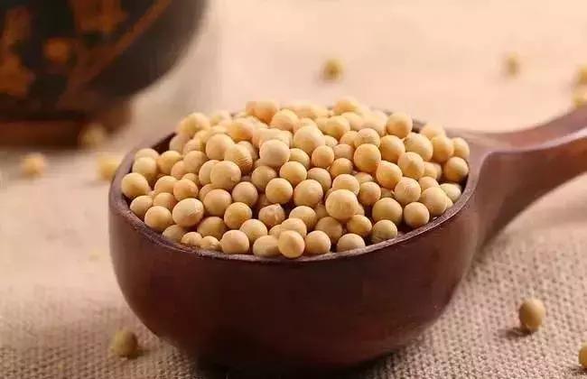 吃蚕豆有什么好处和坏处,吃大豆的好处