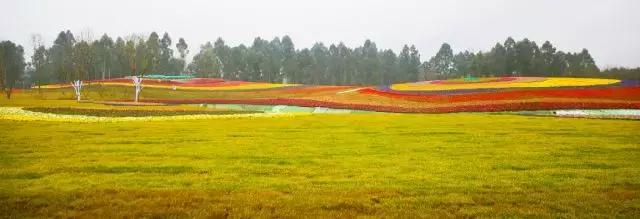 武侯，有1000种方式让你爱上！