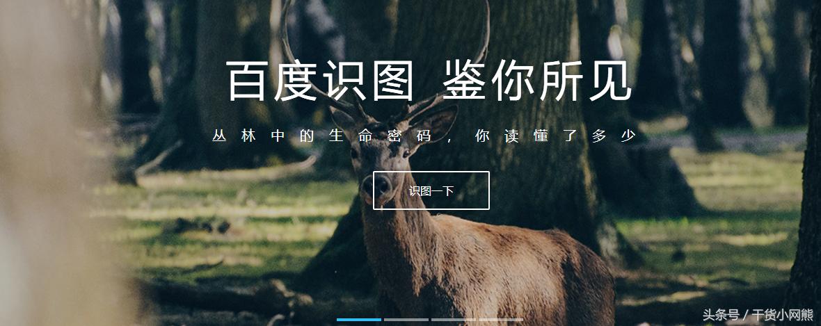 识别图片找到相似图片的工具,如何用图片搜索图片