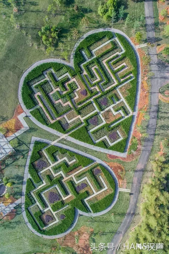 武汉街头藏着桂花香,武汉3800亩玫瑰花园