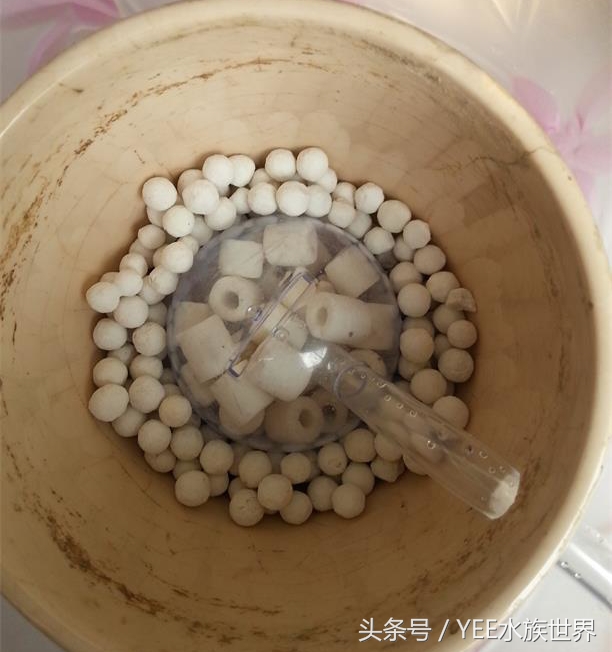 小水泵自制鱼缸过滤系统,小水泵创意作品