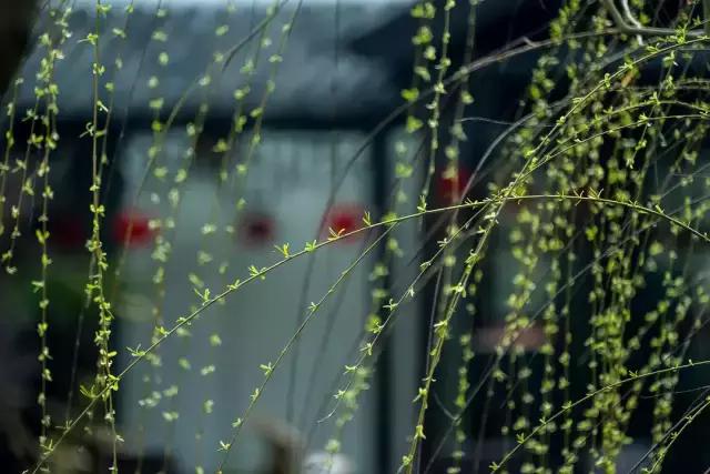 梦里徽州儿歌,梦里徽州音乐