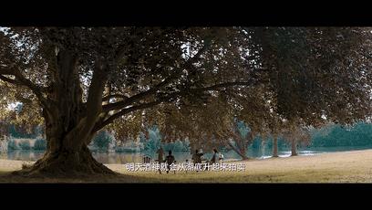 电影抢红剧情,电影抢红完整版