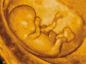 三维吊打二维,三维跟四维做哪个更好