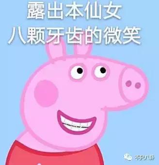 生活圈被它攻占，明星主动“蹭”它热度，现在的流量担当是这只猪