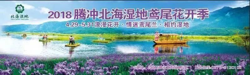 五一优惠等你来,五一钜惠疯狂来袭