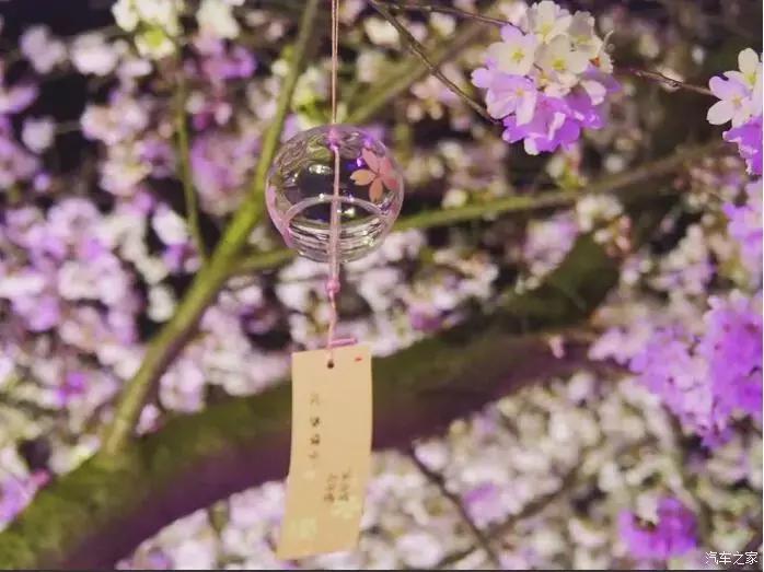 东南dx3自驾游,江浙寻花事