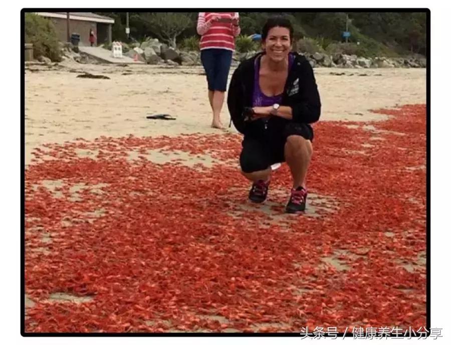 新奥尔良也从来不存在烤鸡翅和烤鸡腿堡那只有吃不完的小龙虾
