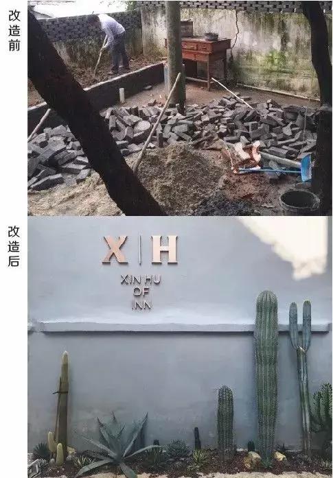东山帐篷生态酒店左耳厦门民宿猫街第一爆改夫妻档他们改过的房子