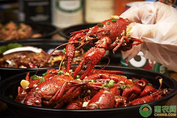 加盟创业好项目小龙虾,加盟小龙虾利润怎么样