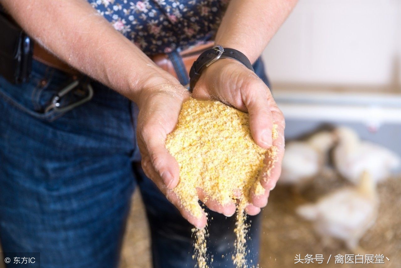 通过降低时间成本带来的收益,通过涨价增加利润