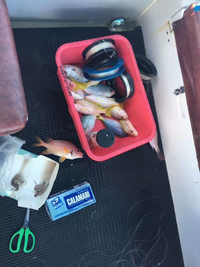 帕劳为什么这么值得去,帕劳必须要去的地方