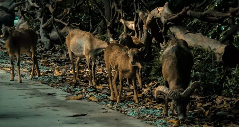 珠海海洋公园项目,2022年珠海国家战略填海工程