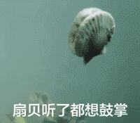 土耳其旅行记书本,迪拜免税店攻略大全