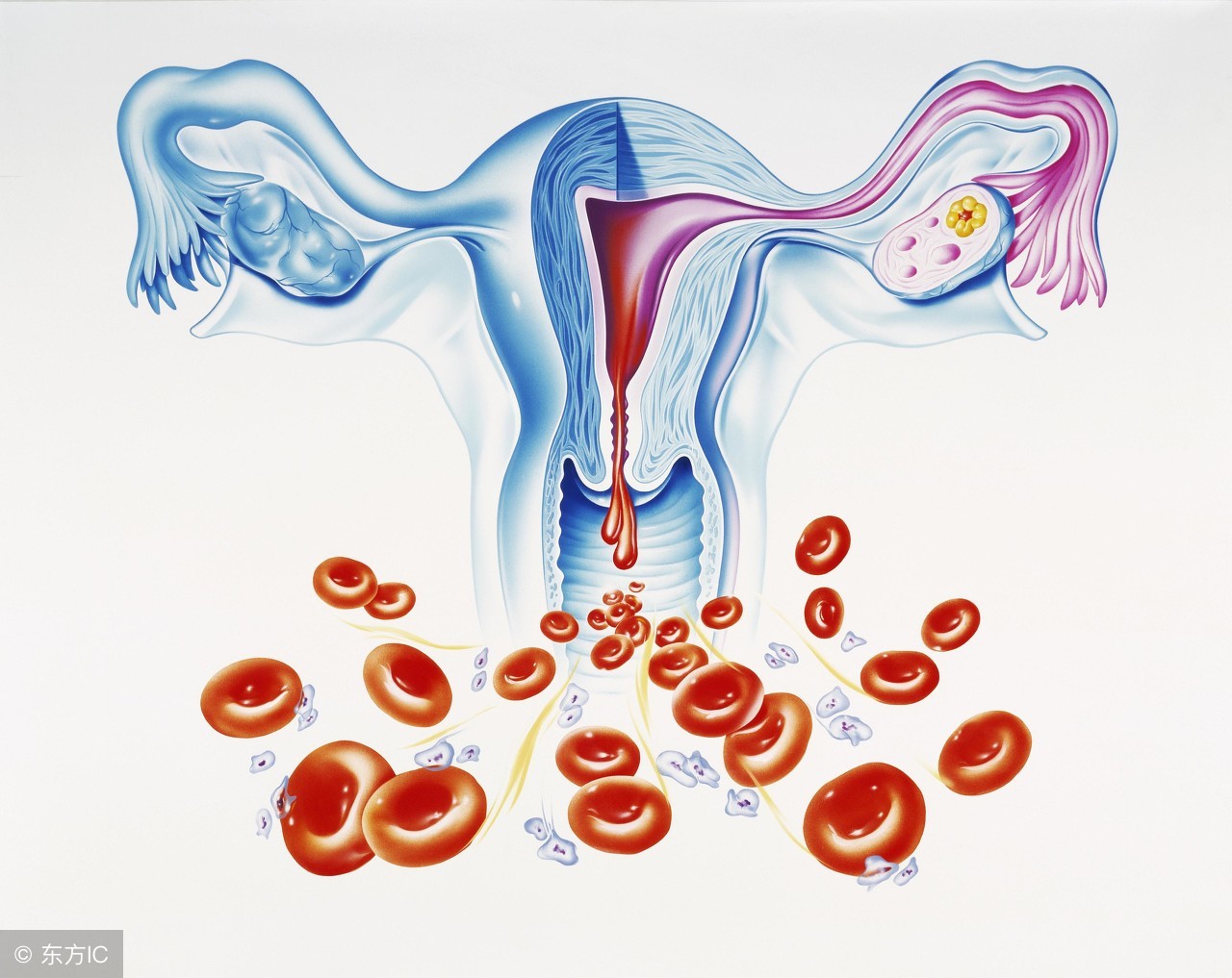 乌鸡白凤丸治妇科什么病,乌鸡白凤丸非妇科特效药