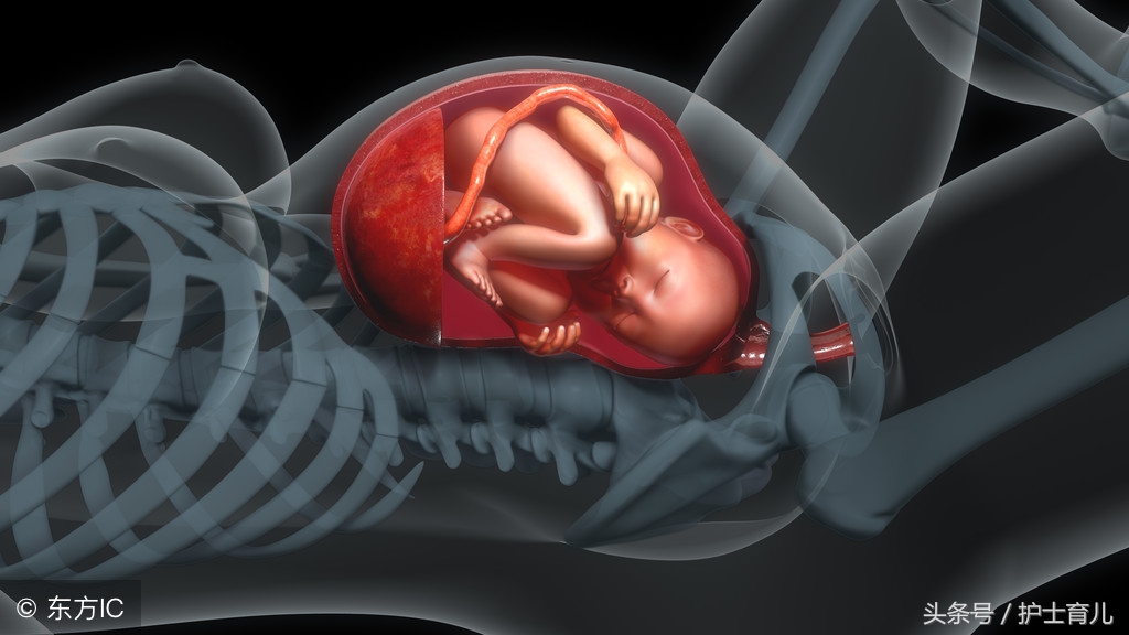 怀孕几周胎位不正可以纠正过来,孕妈妈待产胎位不正趴着纠正胎位