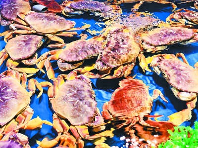 盒马鲜生的澳洲大龙虾多少钱一只,武汉盒马鲜生小龙虾自助武汉门店