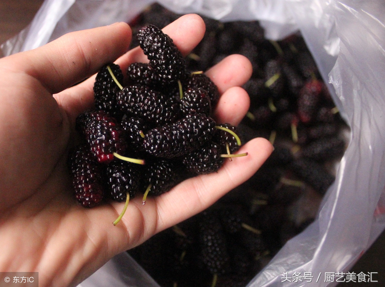 桑葚叶怎么吃最好的方法,现在吃桑葚是应季吗