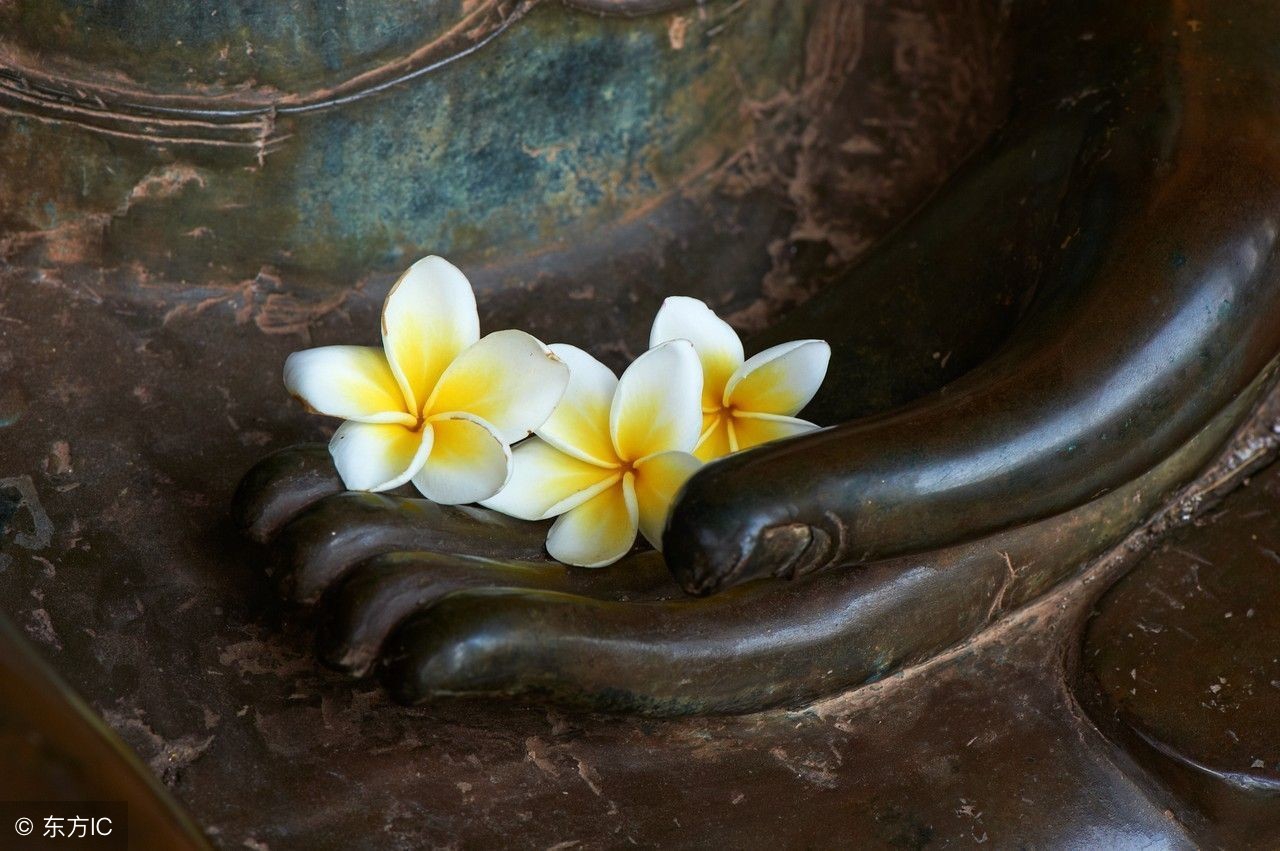 想要福报大如何修,想要消除罪孽的话