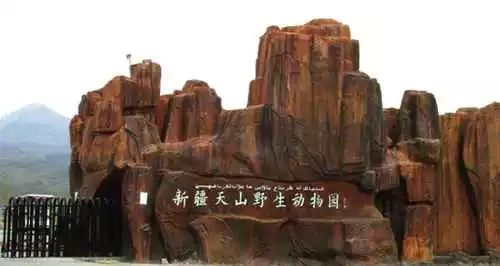 五一小长假北疆旅行,五一游玩的小短文50字