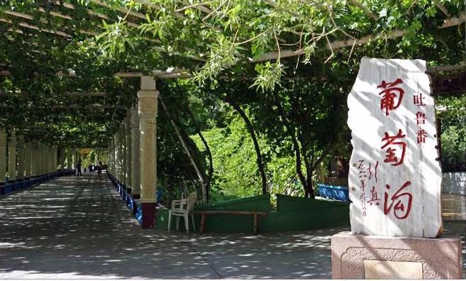 五一小长假北疆旅行,五一游玩的小短文50字