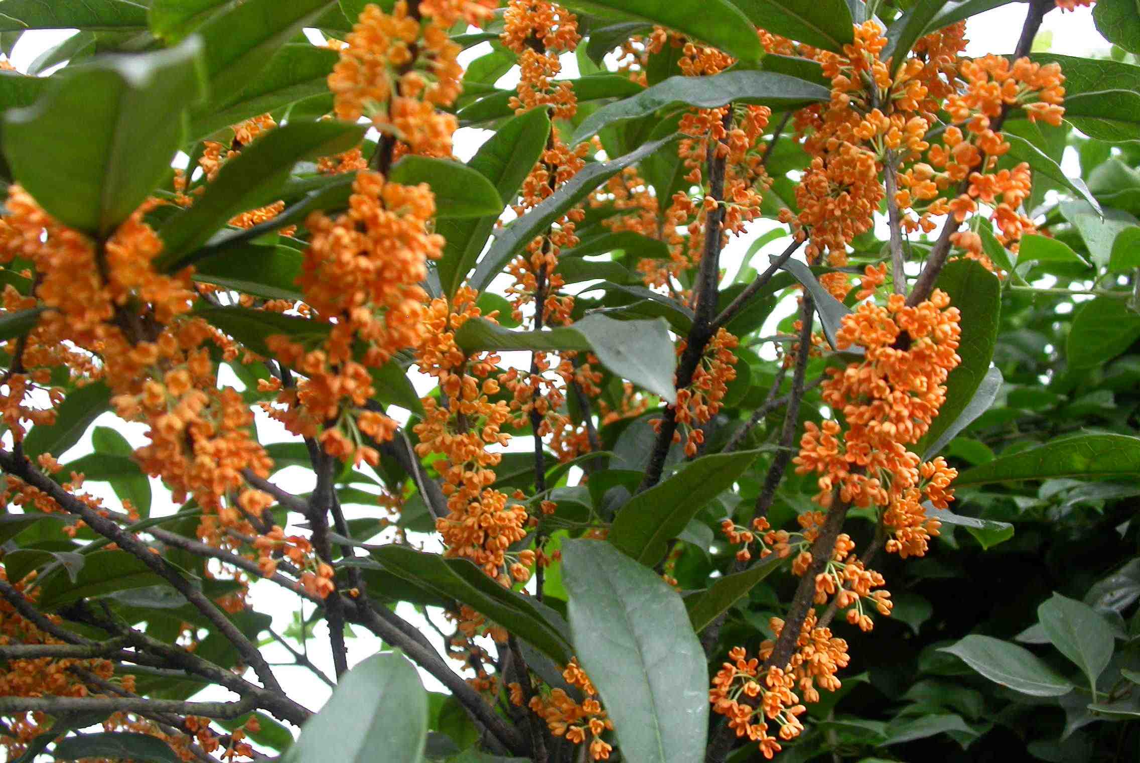 浙江杭州余杭区位置,浙江杭州余杭区地图