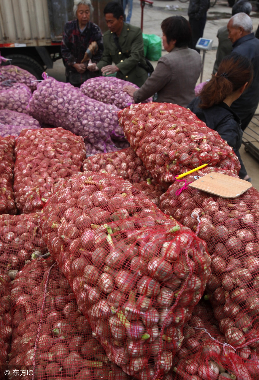 大蒜价格多少钱一斤？4月29日大蒜最新价格行情，货多稍显压价