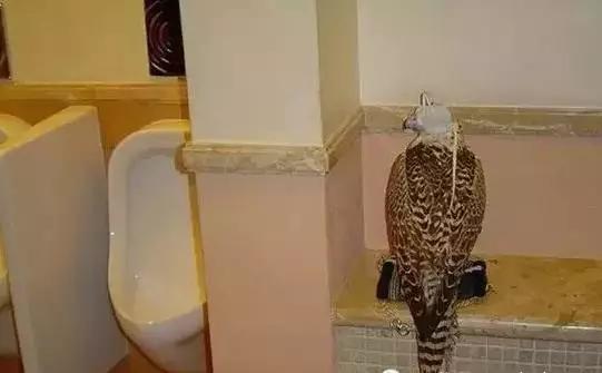 迪拜贫穷人的生活,迪拜贫穷限制了我的想象