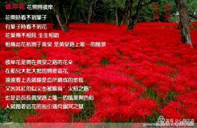 人间四月芳菲尽时过境迁落尘埃,人间四月芳菲尽春花始盛开