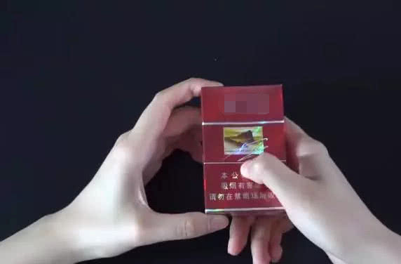 平乐假烟案,桂林灵川假烟案件