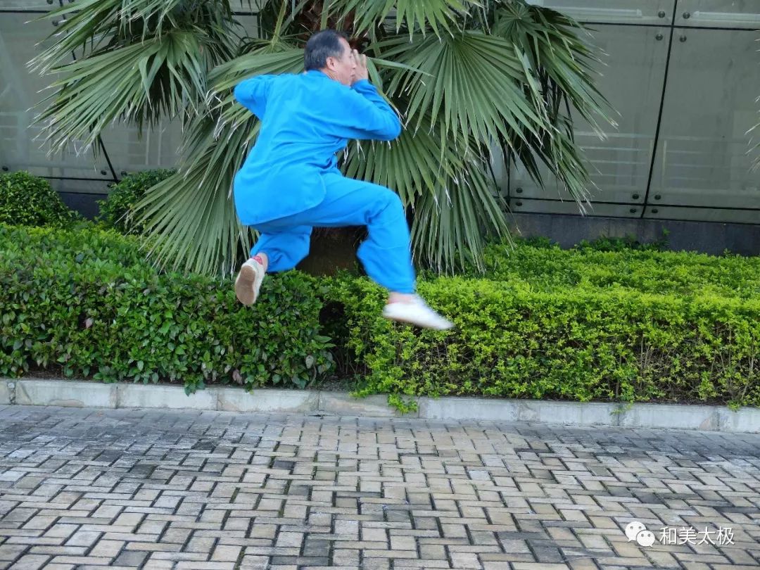 陈雄杨式太极拳基本功讲解,陈雄聊太极拳视频全集