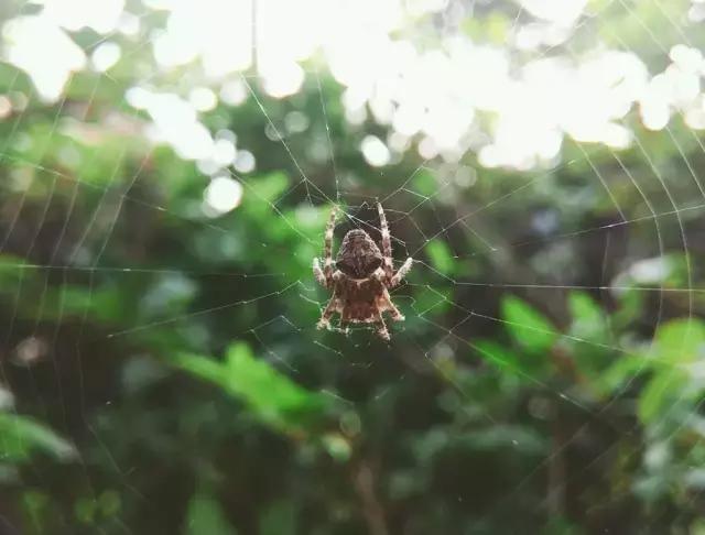 摄影怎么构图10大构图法,简单却实用的摄影技巧