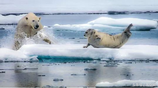 假期一定要给孩子看的20部纪录片,12部适合和孩子一起看的纪录片