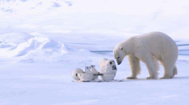 假期一定要给孩子看的20部纪录片,12部适合和孩子一起看的纪录片