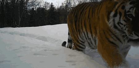 假期一定要给孩子看的20部纪录片,12部适合和孩子一起看的纪录片