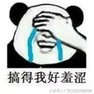 烤金桔止咳做法大全图片,金桔怎么烤着吃治咳嗽