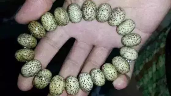 怎样盘十年以上星月菩提,星月菩提盘多久包浆