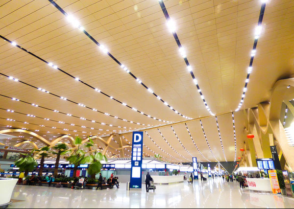 第一次坐飞机最担心什么,第一次坐飞机有什么麻烦