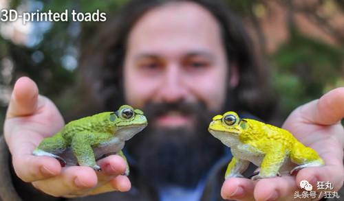 3D打印技术助力先进制造,3d打印帮助动物