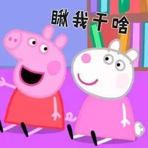 小猪佩奇这么弱智为什么会火,全网最火的小猪佩奇