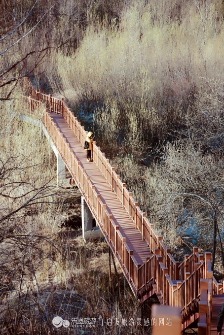 朴树冷门却很好听的歌,朴树适合西藏的歌