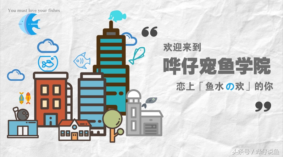 火箭鱼种类大全,火箭鱼有多少品种