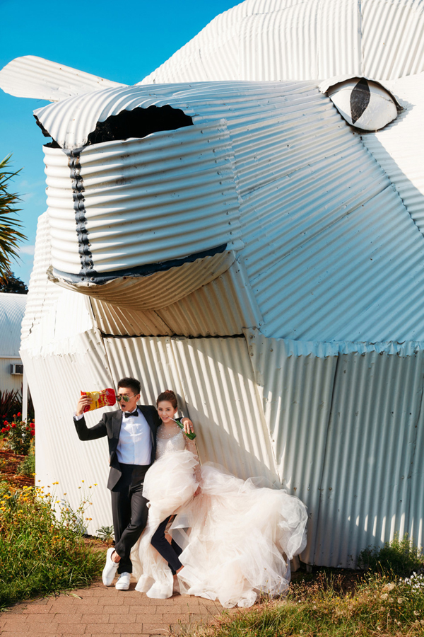 去全世界最美的地方拍婚纱照,期待已久的旅拍婚纱照终于出来了